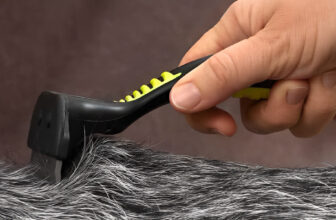 Melhores Rasqueadeiras