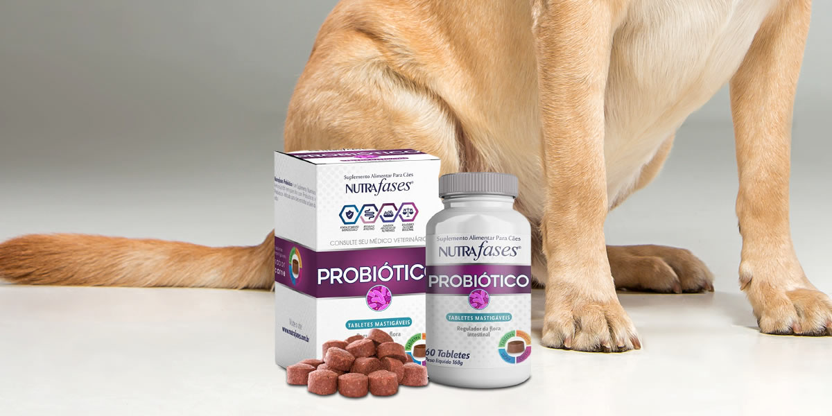 Melhores Probióticos para Pet: Lista Completa para 2026
